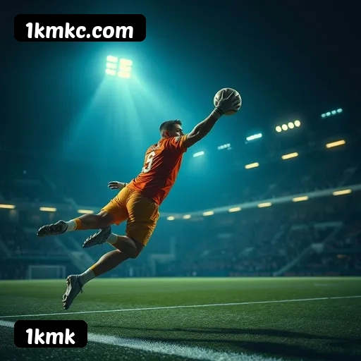 Níveis do programa VIP da 1kmk